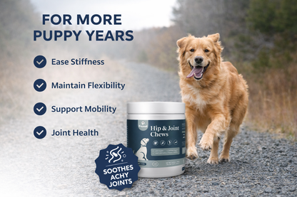 Support Your Dog’s Hip & Joint Comfort — Naturally