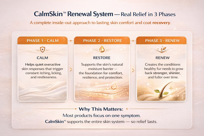 Real Relief for Dogs Who Can’t Stop Itching, Licking, or Biting — Heal From the Inside Out