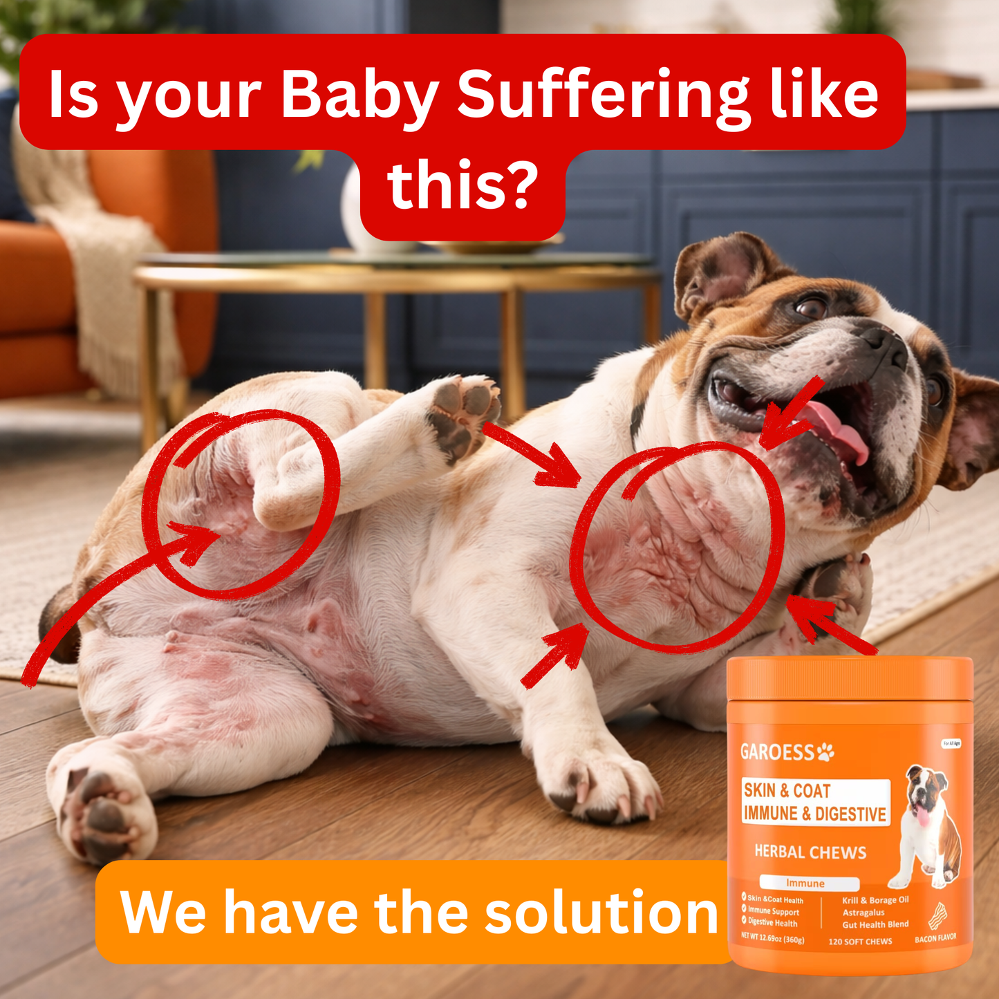 Real Relief for Dogs Who Can’t Stop Itching, Licking, or Biting — Heal From the Inside Out