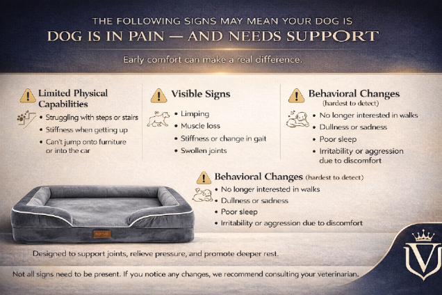 Memory foam orthopedic dog bed for senior dogs
Luxury orthopedic dog bed with bolster support
Non-slip washable orthopedic dog bed